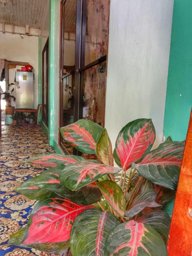 Abba Homestay General Luna  Dış mekan fotoğraf